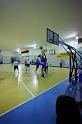 Basket 252003